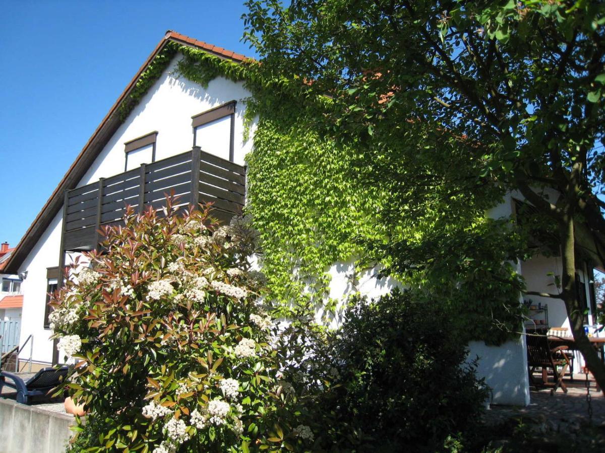 Ferienwohnung Rheinzabern 외부 사진